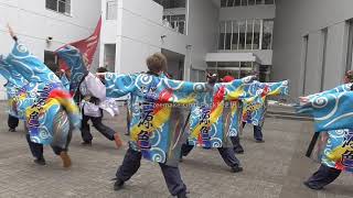 北里祭2019　 ゲリラ演舞　纏威風