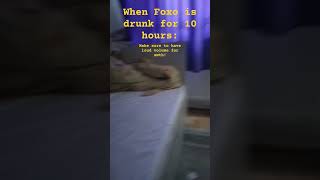 When Foxo is drunk for 10 hours: