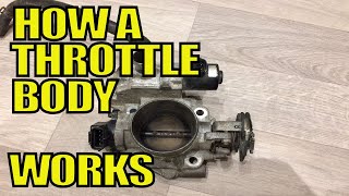 Throttle Body and Parts -Simple Explanation
