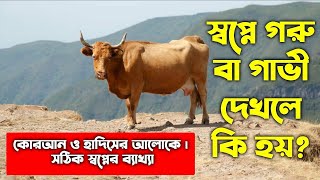 স্বপ্নে গরু দেখলে কি হয় | স্বপ্নে গাভী দেখলে কি হয় | zubayer bin emam | dream explanation about of