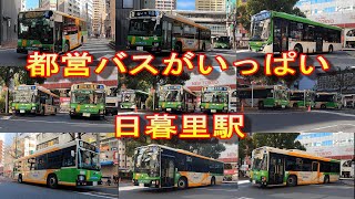 日曜お昼の日暮里駅前　都営バスがいっぱいやって来る