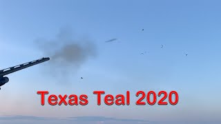 Texas Teal - El Campo - September 2020