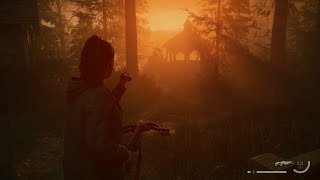 Alan Wake 2 - PS5 - First Playthrough - Part 47 - Lake Cabin's Stash Key - Witchfinders Station