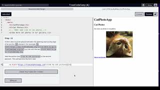 FreeCodeCamp - Responsive Web Design - Step 11 of 71 - Learn HTML by Building a Cat Photo App - OLD