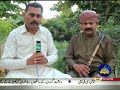 bansuri nawaz shahid nafees khaki