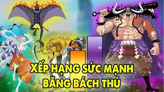 Xếp Hạng Sức Mạnh Toàn Bộ Thành viên Băng Hải Tặc Bách Thú