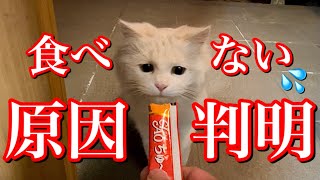 大好きだったチュールを突然食べなくなった野良猫！その原因とは…