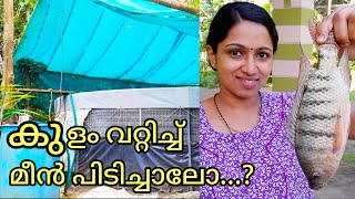 Biofloc Fish Farming/Fish Farming At Home/Subhiksha keralam project.