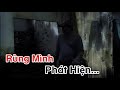 Cảnh Tê Và Ngôi Nhà Hoang Âm U Lạnh Lẽo Đến Đáng Sợ