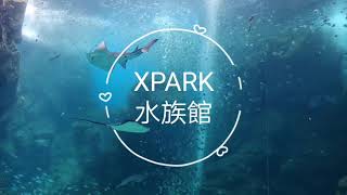 桃園青埔八景島水族館XPARK水生公園