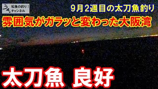 太刀魚の雰囲気がガラッと変わる大阪湾でタチウオ釣り。9月2週目の太刀魚釣り。