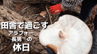 【収穫】憧れの原木椎茸とうまかっちゃんのポテンシャル