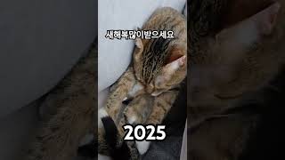 구독자 님들 새해 복 많이 받으세요 🙆🏻‍♀️🙇🏻🙇🏻‍♀️🙇🏻‍♂️ #2025