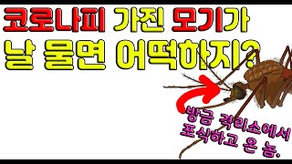 코로나19 모기로도 전염될까? 각종 모기전염병의 특징과 함께 알아봅시다.