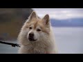 we are finally reunited back home on svalbard vlog