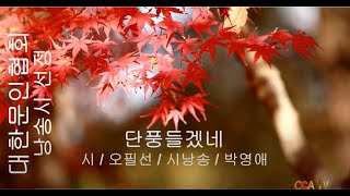 [시낭송] 오필선 / 단풍들겠네 / 시낭송 / 박영애 (낭송시 선정)