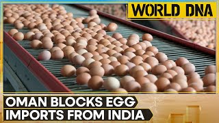 Oman Blocks Indian Egg Imports, Poultry Industry In Tamil Nadu Hit Hard | WION World DNA