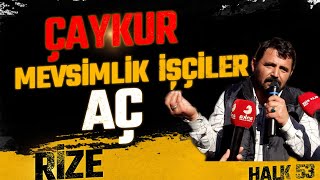 ÇAYKUR Mevsimlik İşçiler 6 Ay Açız | Rize