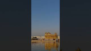 Golden Temple Diwali Celebration | #goldentemple #diwali #amritsar