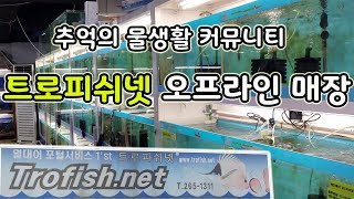 추억의 물생활 싸이트 트로피쉬넷 오프라인 수족관은 어떤 모습?