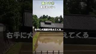 【東大寺】東大寺⑳　裏参道を行く　裏参道から大湯屋　東大寺のすばらしさ　東大寺のすべてがわかる　＃Shorts 　奈良とびっきり観光ガイド東大寺　【奈良観光】