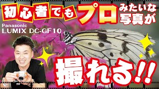 【カメラ初心者向け】予算5万円代！YouTuberも使用してるカメラがコスパ最高【さんぴん】