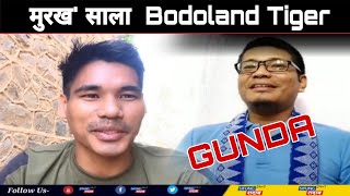 थैबाय मुरख' BODOLAND TIGER || बारा सिमा बारद्रायबाय ।