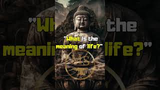 THE MEANING OF LIFE #buddha #zen #short