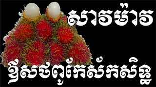 ផ្លែសាវម៉ាវបានលាក់នូវអាថ៌កំបាំងដ៏អស្ចារ្យប្រើជាថ្នាំពូកែព្យាបាល់ជំងឺ - Health Inform