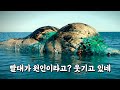 당신이 알고 있는 바다오염에 관한 진실은 모두 틀렸다 / 충격적인 문제작 '씨스피라시'