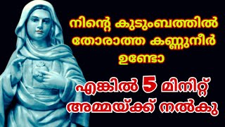 5 മിനിട്ട് അമ്മയ്ക്ക് നൽകൂ 🙏 കൃപാസനം മാതാവ് #kreupasanam #കൃപാസനം #kripasanam