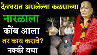 देवघरात असलेल्या कळसाच्या नारळाला कोंब आला तर काय करावे? नक्की बघा Marathi Astrologer