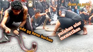 aksi menegangkan..atraksi berbagai macam ular berbisa..@urankaareptil