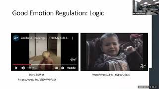 240 04, Emotional Regulation and Erikson