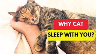 Why Your Cat Insists on Sleeping With You: The Secrets Behind Their Favorite Spots