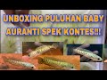 UNBOXING PULUHAN AURANTI SPEK KONTES DI GALERY CHANNA KITA OFFICIAL‼️ #auranti #channaauranti