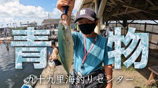 【九十九里海釣りセンター】青物を釣りたい！編