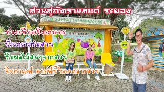 ท่องเที่ยวเชิงเกษตร สวนสุภัทราแลนด์ ระยอง คาเฟ่น้ำตกกลางสวน#พาเที่ยว#เที่ยวระยอง#สวนผลไม้#คาเฟ่ระยอง