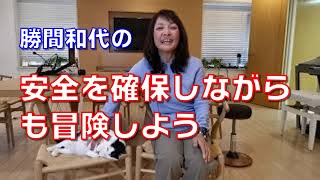 安全を確保しながらも冒険しよう