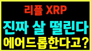 [리플] 리플 CTO, 에어드롭 언급!! 기사화되면 대폭등 일어납니다!! 언능 선점합시다!!