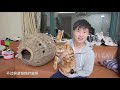 史上最离谱的猫薄荷球，比普通猫薄荷球大10000倍！【蒂姆嘟嘟tim】