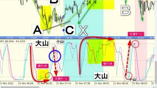 （11月生 最終回③）次ステップに向けて個別指導１｜FX RCI COM