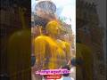 गोमतेश्वर बाहुबली मंदिर | gomteshwar temple #shorts