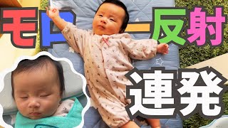 タオルで優しく包み込む！モロー反射で起きてしまう赤ちゃんのねんね対策【生後２ヶ月】【育児Vlog】