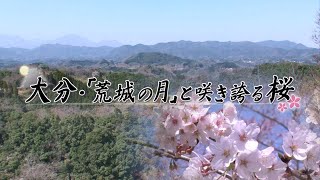 【桜名所 九州】大分県竹田市_岡城公園