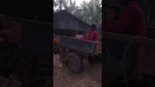 #మా ఊరు పల్లెటూరు 🐄⛰️🛖🏡🌞🌲#youtubeshorts #trendingshorts #villagelife #villagefood #nature 🌲🌲#viral#