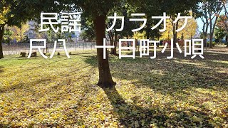 民謡　カラオケ　尺八　№29 十日町小唄　shakuhachi  toukamachi-kouta