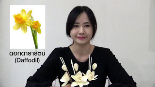 ทำดอกไม้จันทน์ ดอกดารารัตน์ (Daffodill) ในพระราชพิธีถวายพระเพลิงพระบรมศพ ในหลวงรัชกาลที่ ๙