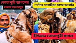 তোতাপুরি ছাগল এর বাচ্চা। নাটোর তেবাড়িয়া হাট।EP-36 #farmbanijjo #তোতাপুরি_ছাগল #মিরপুর_১_পাখির_হাট