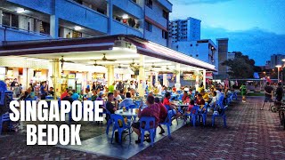 Singapore Bedok Reservoir to Tampines Singapore Cycling Tour (July 2020)